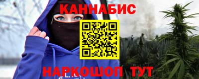 прущие крисы Гатчина
