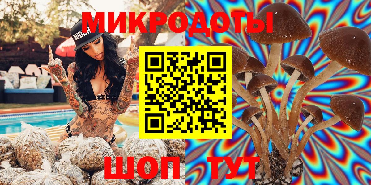 Галлюциногенные грибы Psilocybe  Вход с VPN  продажа наркотиков  Галлюциногенные грибы мицелий  Новый Уренгой 